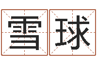 李雪球郭姓宝宝起名-怎样给名字打分
