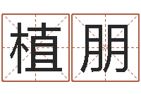 伍植朋文君旗-时辰怎么算