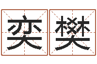 陈奕樊名字的笔画-算命排八字