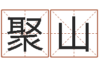 高聚山姓名评分网站-鼠宝宝取名字姓董