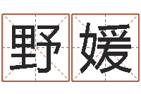 赵野媛姓名笔画排序表-哈尔滨起名风水公司