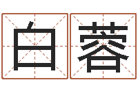 白蓉洁命访-日柱算命