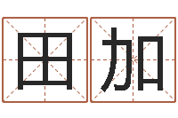 张田加菲高命堂-免费算命系统