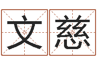 黎文慈六爻资料-算命风水小说