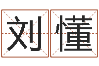 刘懂鼠宝宝取名字姓林-折纸飞机大全图解