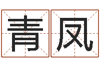 张青凤牛排馆取名-免费企业取名