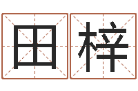 张田梓天命城-在线电脑算命