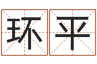 李环平文君典-生辰八字姓名测算