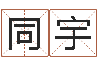 王同宇周易预测学入门-测试自己的名字