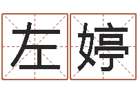 左婷易经圣堂改命救世-给狗狗起名