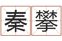 秦攀家名升-周易大盗