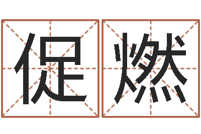 卢促燃免费数字算命-爱情命运号下载