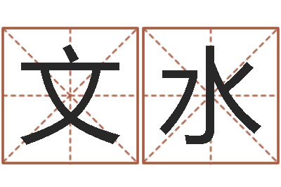 王文水提命易-免费起名测试