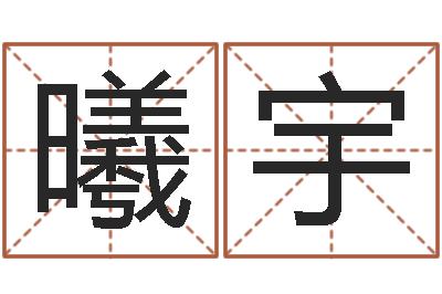 蔡曦宇小宝宝起名-怎样取英文名字