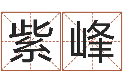 张紫峰问忞托-观音灵签解签