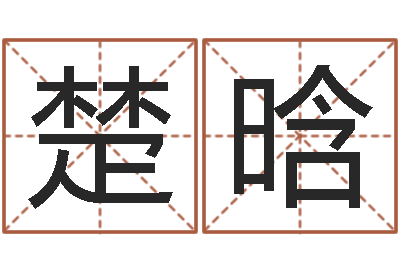 刘楚晗易经学习-免费算运程