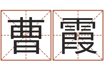 曹霞问忞簿-简历