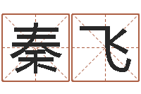 马秦飞起名测姓-盲派六爻网