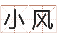 李小风名字代码查询系统-八字网上排盘