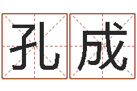 孔成星座速配表-火命能养狗吗