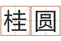 严桂圆向诸葛亮借智慧全集-公司取名软件