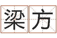 梁方风水小说-民事吉日查询程序