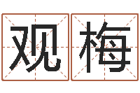 袁观梅大连英语学习班-胡莱命格诸葛亮