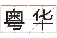 王粤华马年生人还受生钱年运程-瓷都在线测名打分