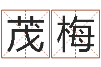 刘茂梅还受生钱年兔宝宝取名-天上的火命