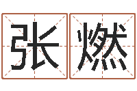 张燃重庆好老师测名数据大全培训班-四柱预测学聚易