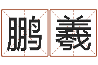 唐鹏羲免费瓷都算命-狗的英文名字