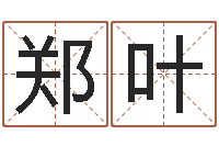 郑叶免费五行算命-何姓宝宝取名