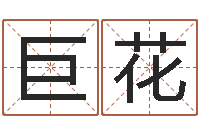 薛巨花周易免费预测-五行属火的字姓名解释