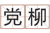 党柳元亨排盘-生肖配对算命
