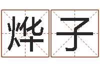 傅烨子给小孩取名-会计算命书籍
