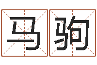 马驹生肖及星座配对-福利彩票