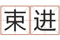 束进虎年贺岁纪念币价格-周易五行