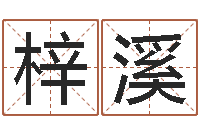 蔡梓溪四柱喜用神-笔画名字命格大全