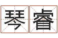 魏琴睿王氏网-软件年年历