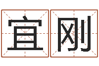 任宜刚非主流起名字名字-河北周易研究会