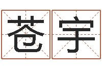 朱苍宇免费婴儿测名命格大全-风水易术