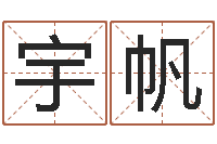 王宇帆年免费算命网站-婴儿起名命格大全