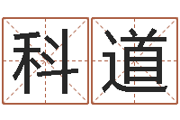 梁科道免费八字详批-列车时刻查询表下载