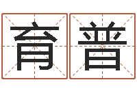 张育普北京取名软件命格大全-陈姓鼠宝宝取名