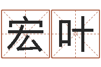 宁宏叶六爻命局资料-哪个网站算命最准