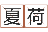 龙夏荷时辰的五行-李居明兔年属马运程