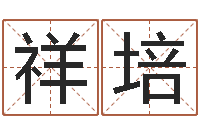 李祥培在英特学广东话-口腔溃疡缺什么