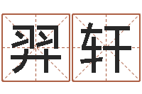 陈羿轩八字学习教程-咖啡馆取名