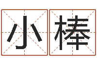 徐小棒用生日时辰算命-生辰八字软件