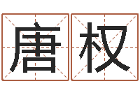 唐权宠物狗取名-免费算命网络